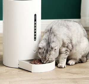 Smart Pet Feeder  Programmable Pet Feeder Automatic Cat Feeder Timer