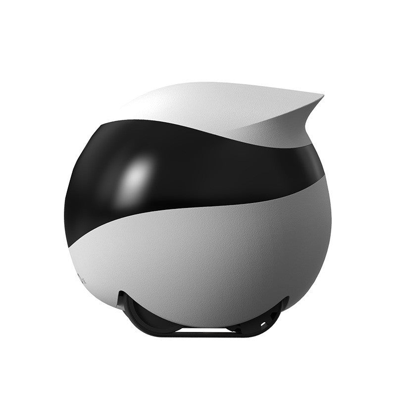 Pet monitoring camera  Smart home pet camera  Robot pet camera