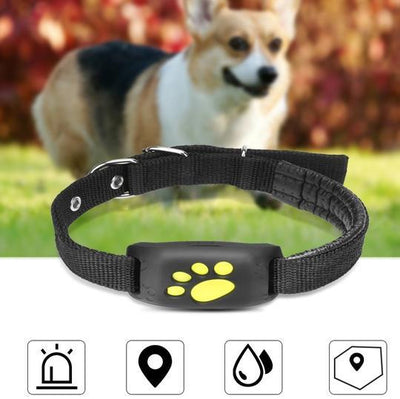 GPS pet tracker collar  Real-time pet tracking  Waterproof pet tracker
