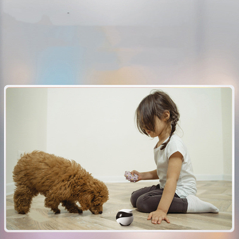 Pet monitoring camera  Smart home pet camera  Robot pet camera