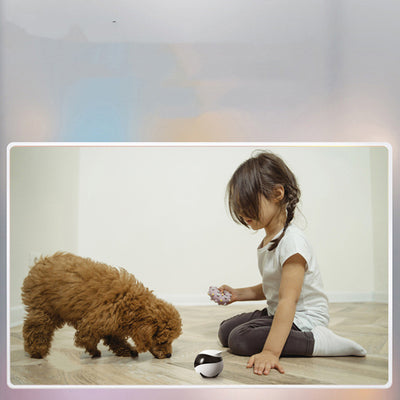 Pet monitoring camera  Smart home pet camera  Robot pet camera