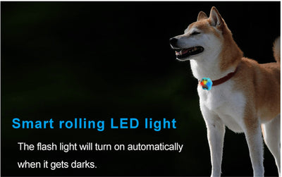 GPS pet tracker  Dog tracking device  Cat GPS collar