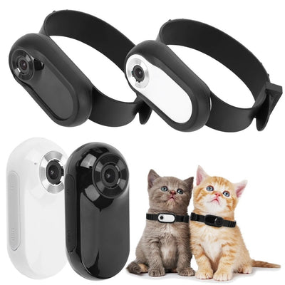 Mini pet camera collar  Thumb-sized pet camera  Cat collar camera HD