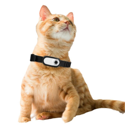 Mini pet camera collar  Thumb-sized pet camera  Cat collar camera HD